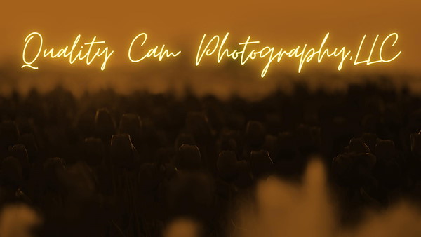 Quality Cam Photography