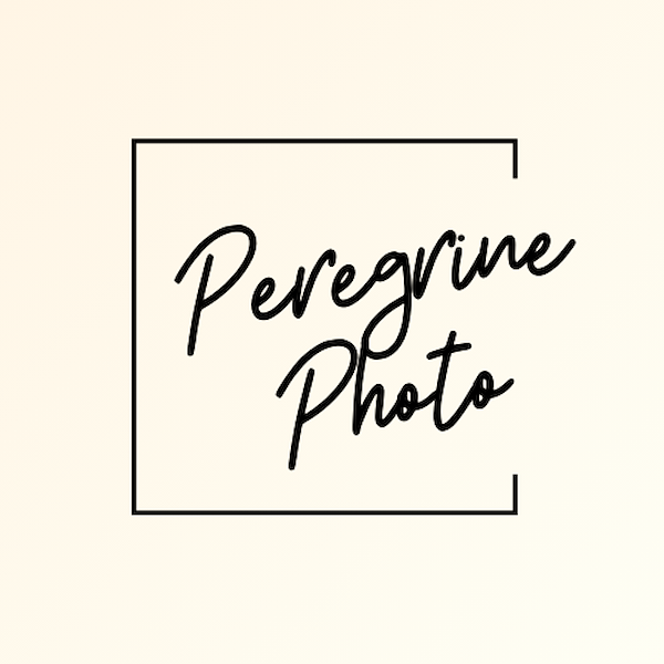 Peregrine Photo