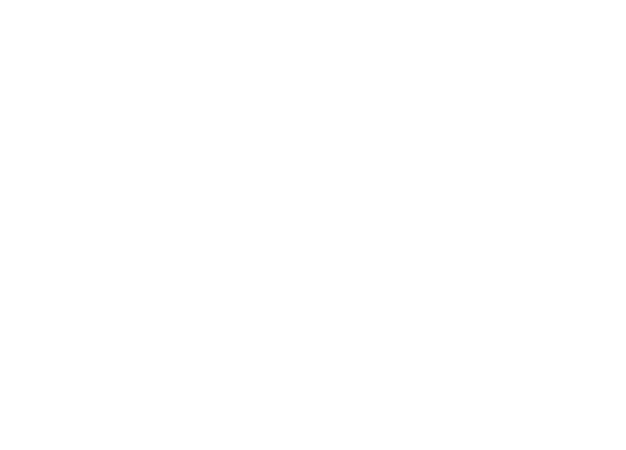 Bassam Elsaadani