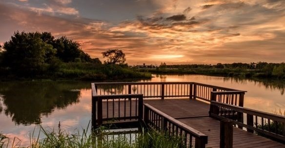Seabourne Creek Nature Park in Rosenberg, Texas