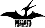 TORADACTYL