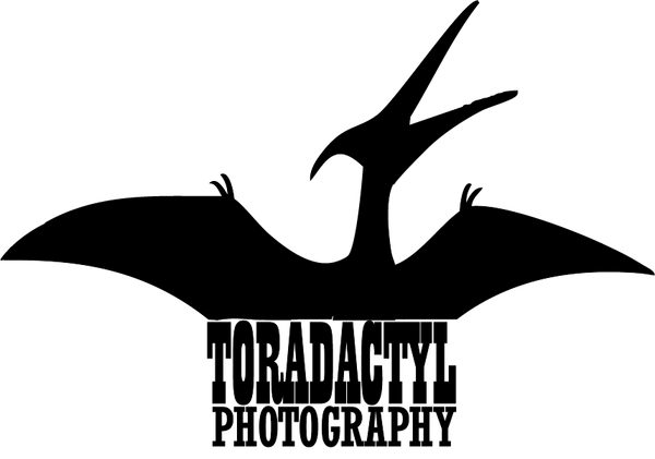 TORADACTYL
