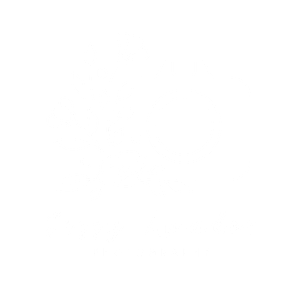 Jessy Amador Photography