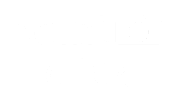 Point and Click Photography