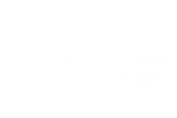 Imaginarium Studios