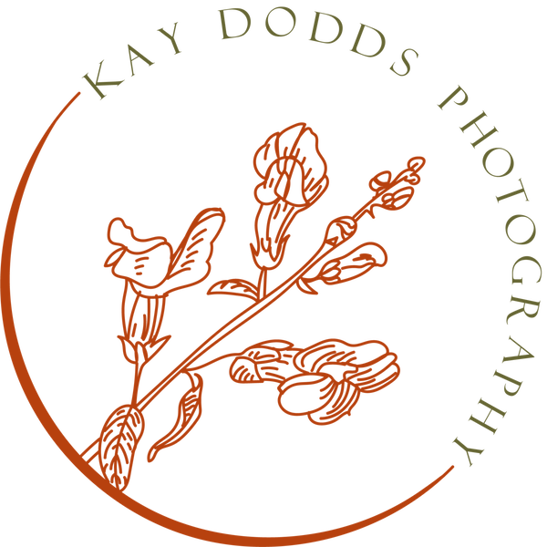 Kay Dodds Photography