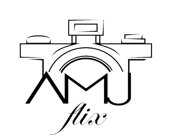 AMJ Flix LLC