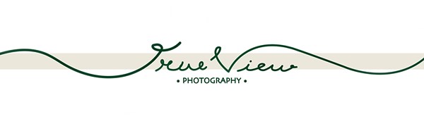 True View Photography
